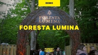 Foresta Lumina  An Enchanted Night Walk From Park to Illuminated Forest [upl. by Jacey307]