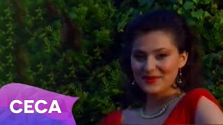 Ceca  Mokra trava  Official Video 1991 [upl. by Dragone804]