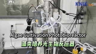 Algae Cultivation Photobioreactor  KNIKBio fermenter bioreactor centrifuge [upl. by Yecniuq1]