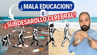 Dejar colillas en la playa lo que nos dice la Neurociencia [upl. by Read]