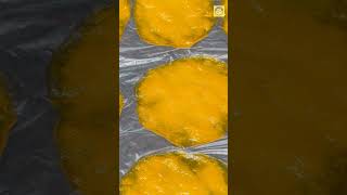 Easy Mango Fruit Leather Recipe Healthy and Homemade  DIY Dehydrating Guide [upl. by Pavyer]