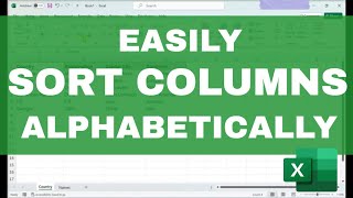 How to ALPHABETIZE COLUMNS Automatically in Excel Easy Tutorial for Beginners [upl. by Aurelea895]