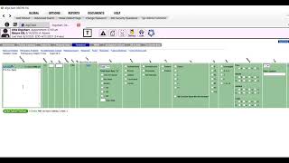 The EHR for OB GYNs See the OB Flowsheet [upl. by Ymij]