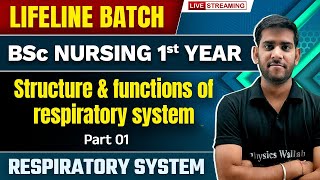 Structure amp Functions Of Respiratory System  Part  1  Respiratory System  BSc Nursing 1st Year [upl. by Laks361]