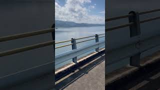 Presa de hatillo la más grande de toda las Antillas viralvideo carlosvlogs viralshort [upl. by Nylissej607]