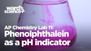 AP Chemistry Lab 11  Phenolphthalein as a pH Indicator [upl. by Hukill]