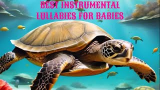 Seascape Coral Lullabies  SEA TURTLES Swimming  Deceptive Lullabies in the Night for baby sleep [upl. by Maclaine]