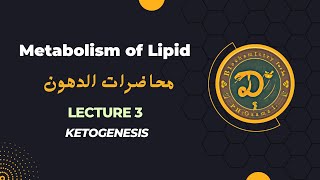 شرح ketogenesis على مصدر هاربر [upl. by Rtoip359]