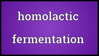 Homolactic fermentation Meaning [upl. by Lyris]