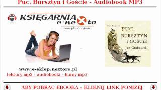 PUC BURSZTYN i GOŚCIE  AUDIOBOOK MP3  Jan Grabowski BAJKA DLA DZIECI  POBIERZ [upl. by Jinny]