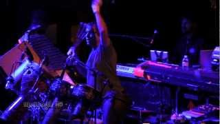 MICKEY HART BAND  Samson And Delilah  live  The Ogden [upl. by Ahcsap616]