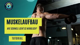 Muskelaufbau  Wie schnell geht es wirklich [upl. by Adnek]