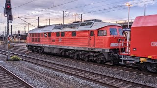 Diesel brummen am Morgen [upl. by Wendell602]