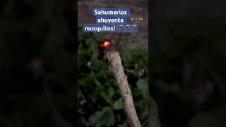 Sahumerios súper potente contra los mosquitos💪🏻🦟 mosquitos diy dengue shorts [upl. by Enajharas]