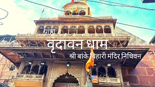 Vrindavan Dham Yatra । Shri Banke Bihari Mandir Nidhivan Darshan । वृंदावन धाम यात्रा दर्शन [upl. by Anidene]