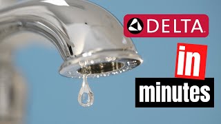 Stop a Dripping Single Handle Bathroom Faucet  Delta Washerless [upl. by Ellenet479]