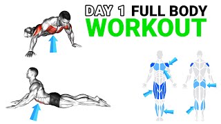 Home Workout Without Equipment Full Body Workout at Home Beginner  Fitness [upl. by Quinta]