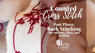 Counted Cross Stitch Part Three Back Stitching [upl. by Sicular]