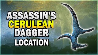 Assassins Cerulean Dagger Talisman Location Restore FP on Critical Hit  Elden Ring Guide [upl. by Pirali]