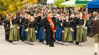 Musikkapelle Flaas  Marschmusikbewertung Meran 2015 [upl. by Desireah]