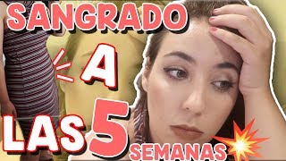 SANGRADO a las 5 SEMANAS 🤰🏻💥  ¿ QUE ME PASA  semana 5 de embarazo [upl. by Nysila]