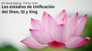 Zhi Neng Qigong Nivel 1 Teoria  04 Los estadios de unificacion del Shen Qi y Xing [upl. by Nalad]