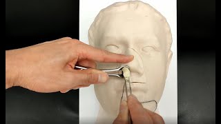 Medical training manikin Anterior Nasal Packing and Foreign body removal [upl. by Nanci15]