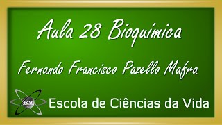 Bioquímica Aula 28  Bioenergética  Parâmetros termodinâmicos [upl. by Nywra]