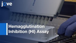 Hemagglutination Inhibition HI Assay to Quantify Influenza Antibodies [upl. by Eniahpets]