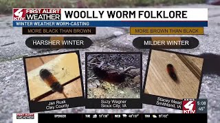 Are woolly worms accurate winter forecasters [upl. by Mauralia762]