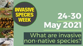 What are invasive nonnative species [upl. by Old]