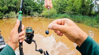 4 Hours of RAW and UNCUT Kayak Carp Fishing with Blueberries in a Muddy Creek [upl. by Etsyrk]