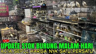 Update Burung Malam Hari  Kenari Masuk 400 ekor  dan Stok aneka burung Ombyokan [upl. by Cadell764]