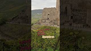 This castle is amazingGermany Moseltrip castle trip travel urlaub relaxing tour deutschland [upl. by Launce]