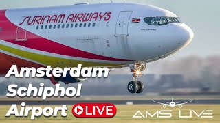 Live Arrivals at Amsterdam Schiphol Airport [upl. by Amathist]