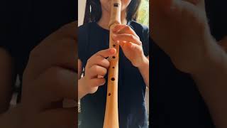 Titanic Recorder  Titanic Blockflöte recorder flute music [upl. by Ardnekahs91]