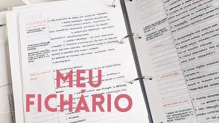 COMO ORGANIZO MEU FICHÁRIO [upl. by Acyre807]