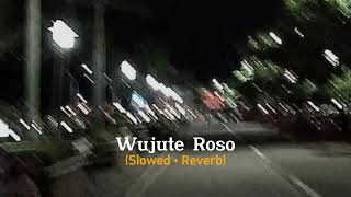 WUJUTE ROSO Slowed  Reverb FT Denik Armilaslowed reverb [upl. by Oreves]