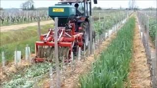 Semoir de semis direct Guilbart TDrill  Spécial vigne [upl. by Adnamar187]