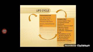 Medical Parasitology Lecture 6 Nematoda [upl. by Assilac271]