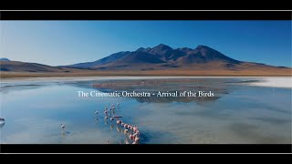 The Cinematic Orchestra  Arrival of the Birds  Orchestral Cover [upl. by Atteuqram898]