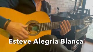 Flamenco Guitar Esteve Alegria Blanca Spain [upl. by Atinej]