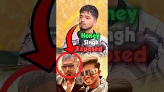 Paradox Exposed Honey Singh 😱🤯 Ft RealHitVideos shorts interview paradox honeysingh [upl. by Otrepur]