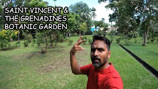 HIDDEN GARDEN IN SAINT VINCENT AND THE GRENADINES  BOTANIC GARDEN [upl. by Zondra]