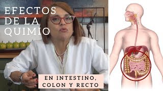 Efectos de la Quimioterapia INTESTINO DELGADO COLON Y RECTO HematoOncología [upl. by Vahe939]