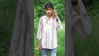 ￼ Deshi Dog 🐶  funny youtubeshorts viralvideo [upl. by Mehcanem204]