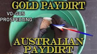 Gold Prospecting at Home 37  VoGus Prospecting Australian Paydirt [upl. by Leandre]