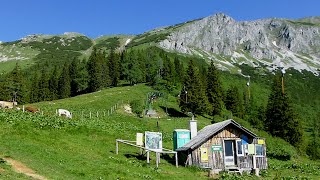 Alpine Bergtouren  19 Österreich Hohe Veitsch [upl. by Latsyrk]