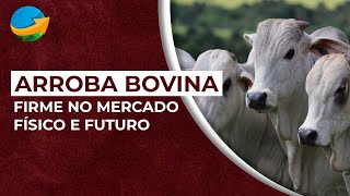 Arroba bovina firme no mercado físico e futuro tendência positiva até março [upl. by Nomzaj524]