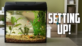 How to Set up Your First Fish Tank  Aquarium CoOp [upl. by Fried]